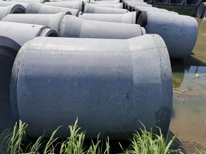 樱桃视频成人网站