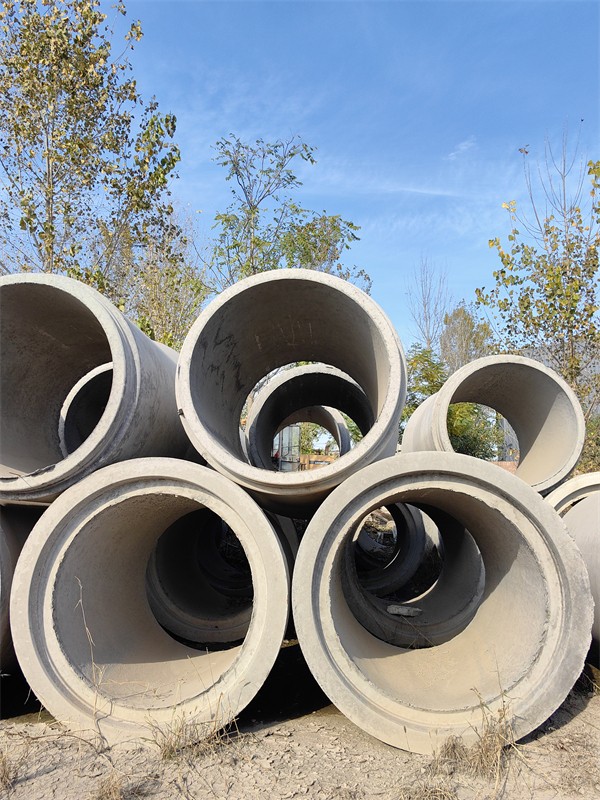 樱桃视频污在线看